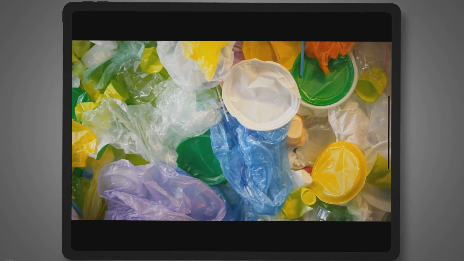 'Video thumbnail for The Vital Link: Exploring the Relationship between Environment and Community'