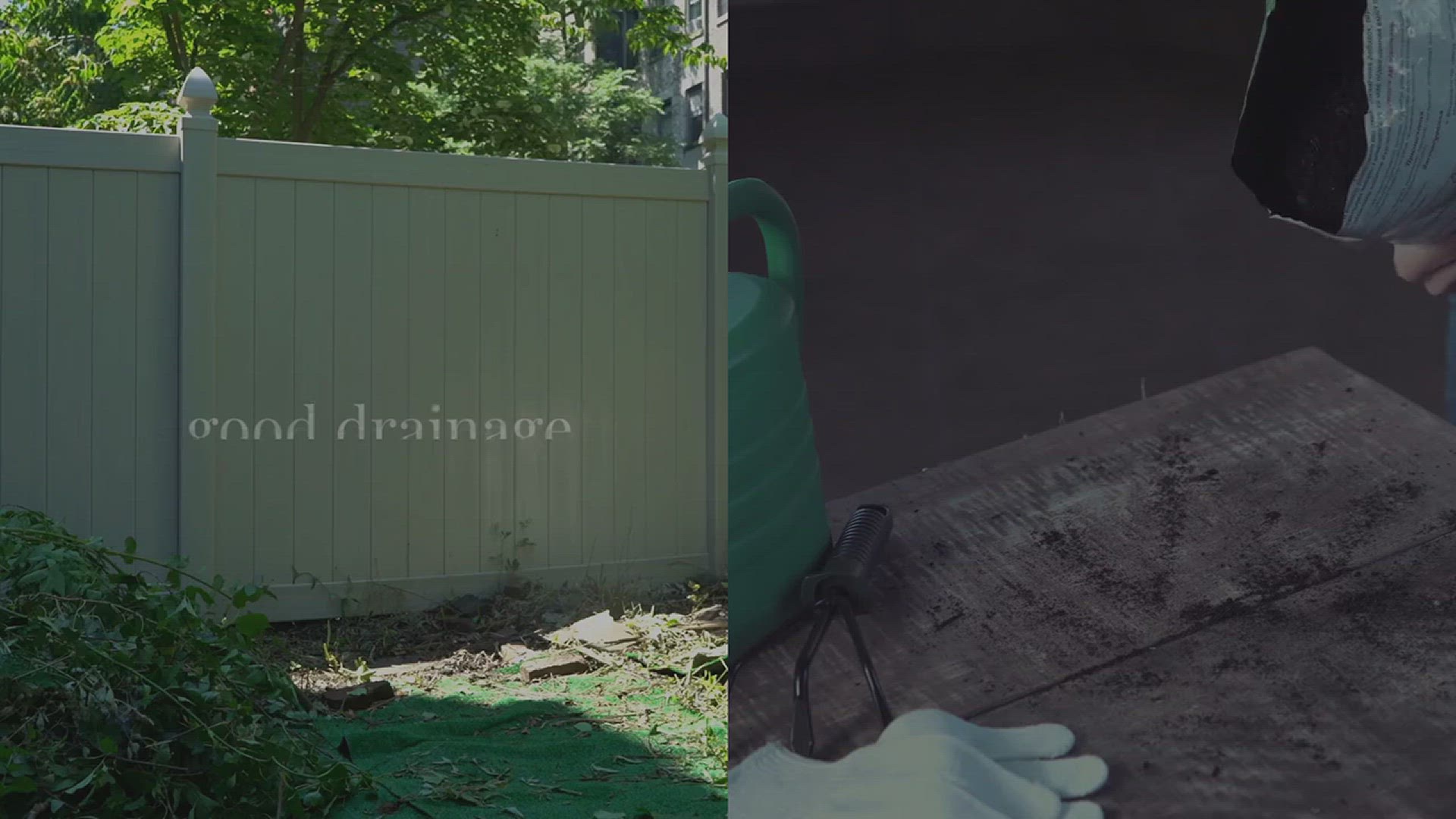 'Video thumbnail for How to Grow Lemongrass in Your Yard'