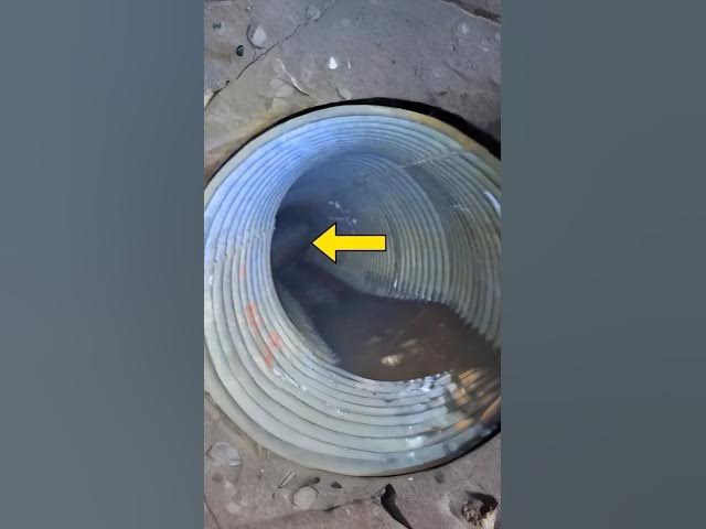 Video thumbnail for Hikers Discover Hidden Tunnel In Cave!