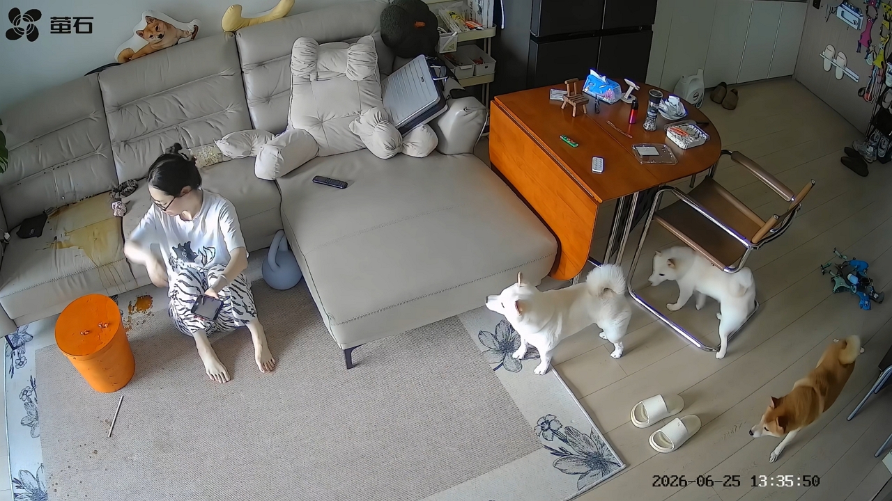 Video thumbnail for Playful Dogs Cause Coffee Chaos in Guangdong