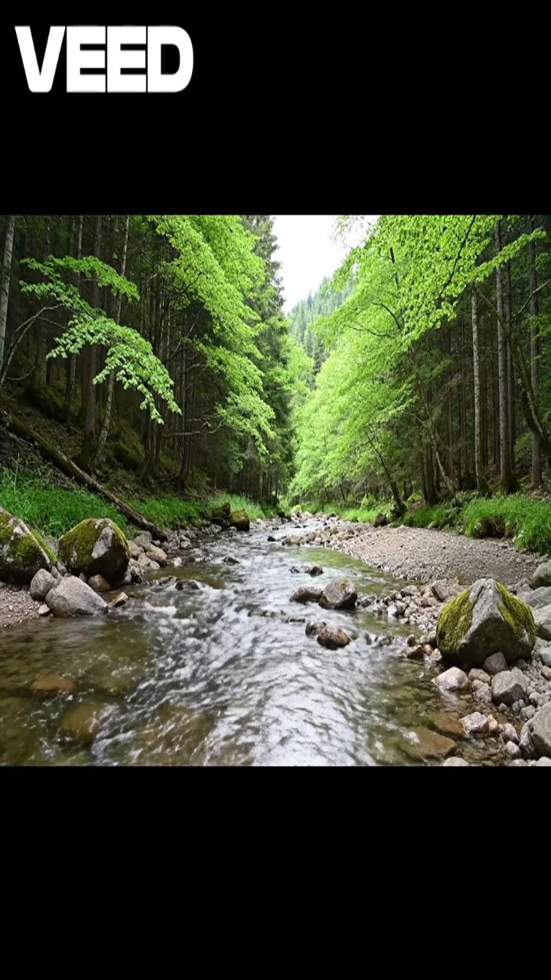 Video thumbnail for 1000064061