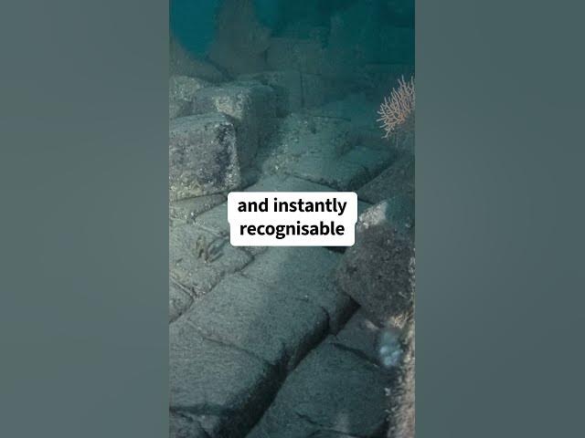 Video thumbnail for 100-Year-Old Coal Blocks Still Perfectly Stacked on Shipwreck #underwater #history #discovery