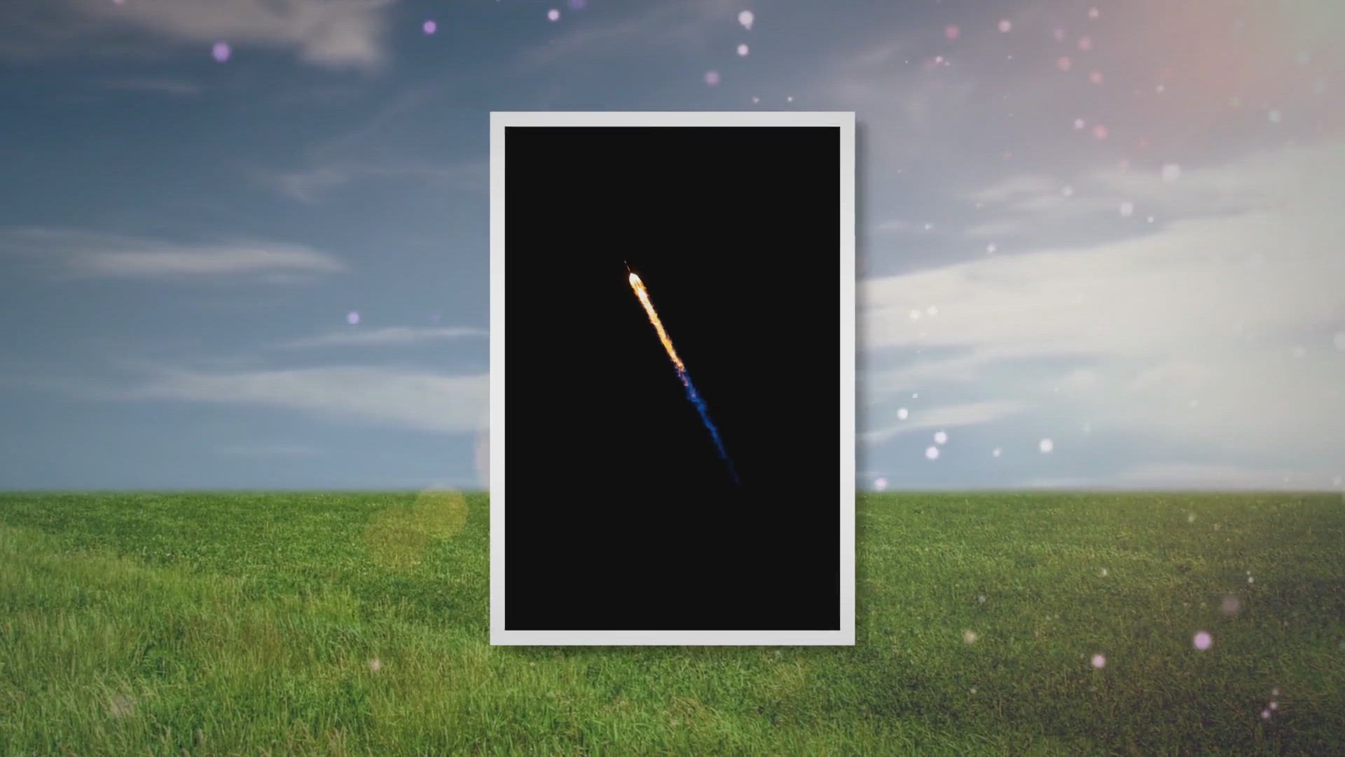 Video thumbnail for blue smoke succulent