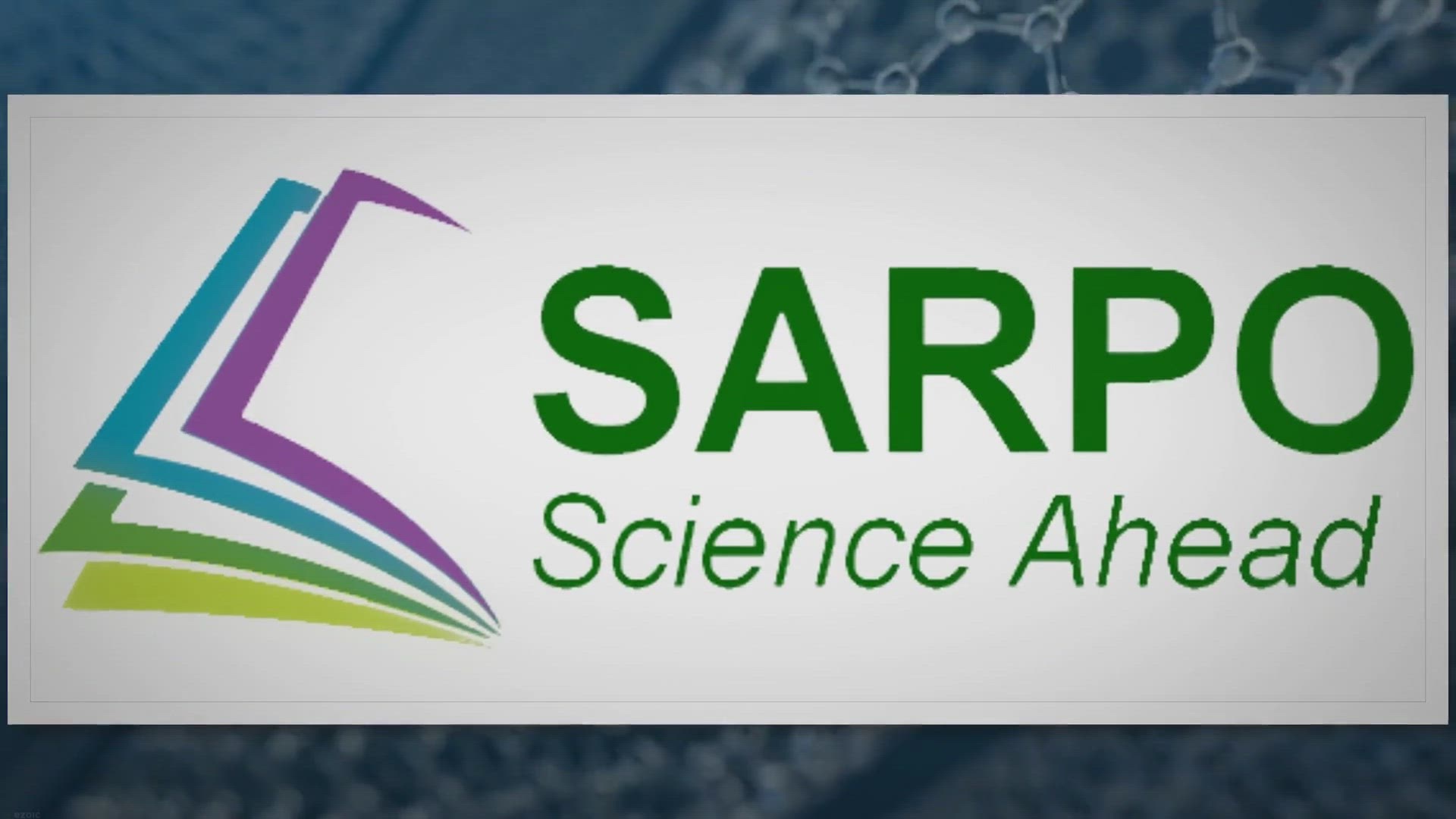 Video thumbnail for Evergreen Wonders: Trees That Never Shed Their Leaves!