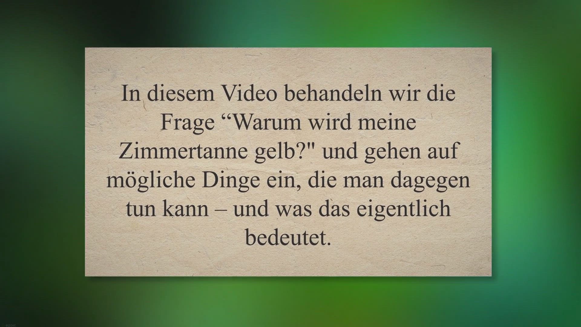 Video thumbnail for Warum wird meine Zimmertanne Gelb? 5 mögliche Gründe