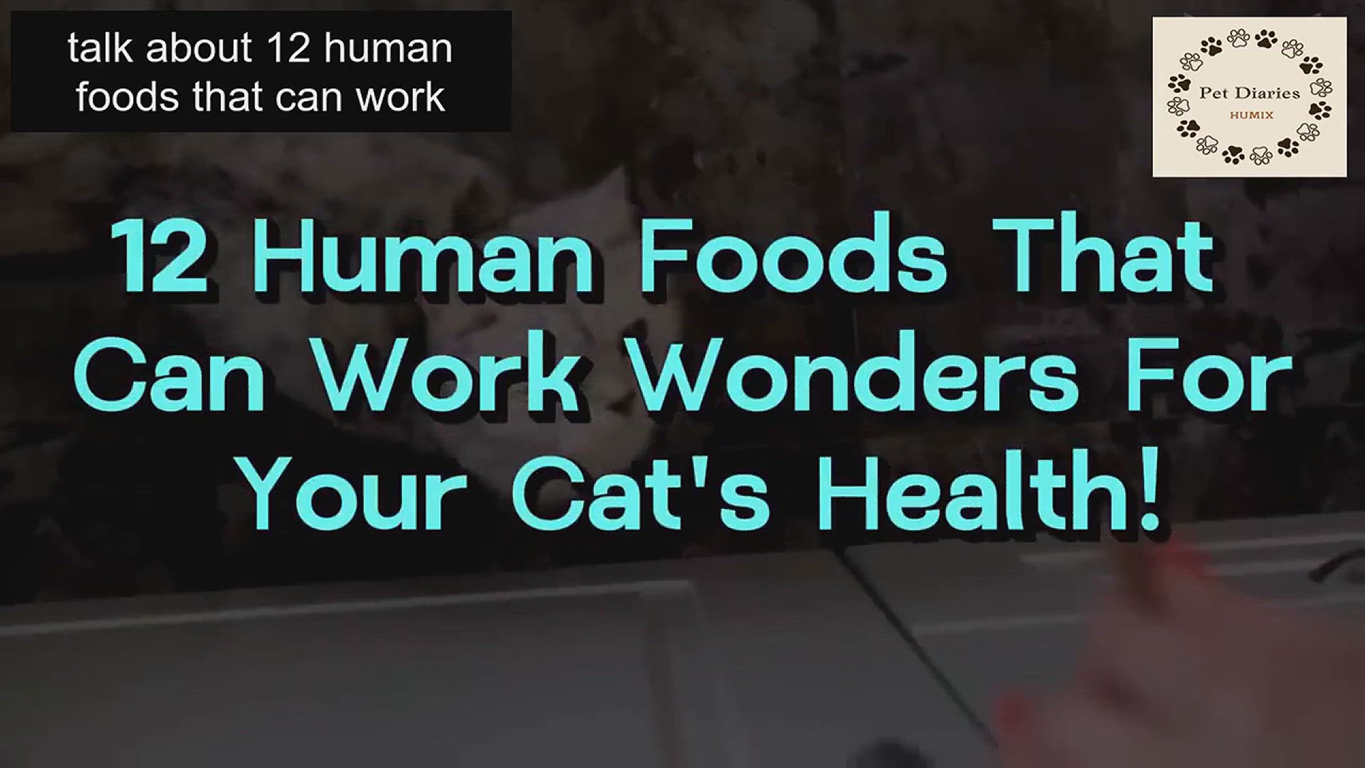 'Video thumbnail for Healthy Foods for Cats'