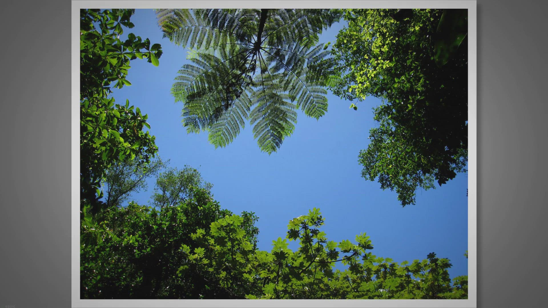 'Video thumbnail for Gizo, Solomon Islands: A Tropical Paradise | Travel Guide'