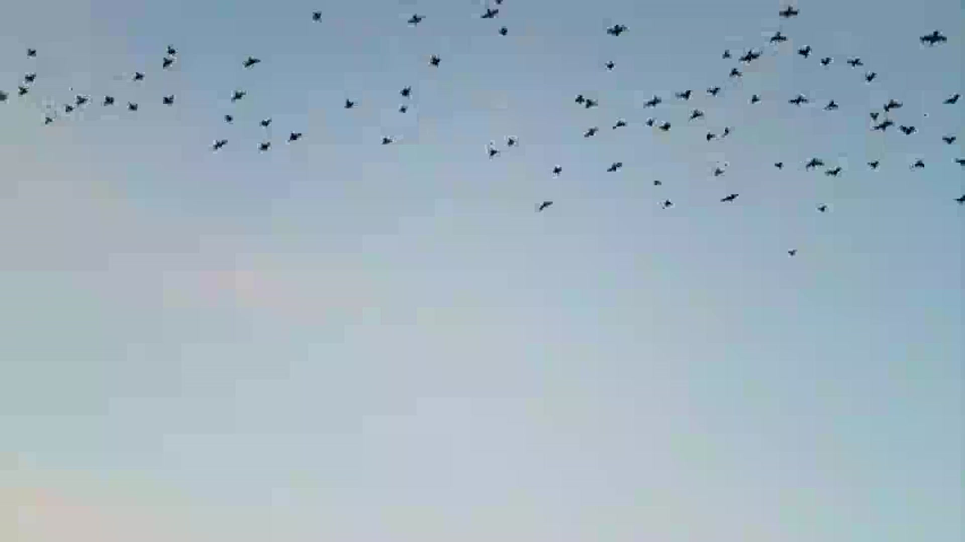 Video thumbnail for 1000070553