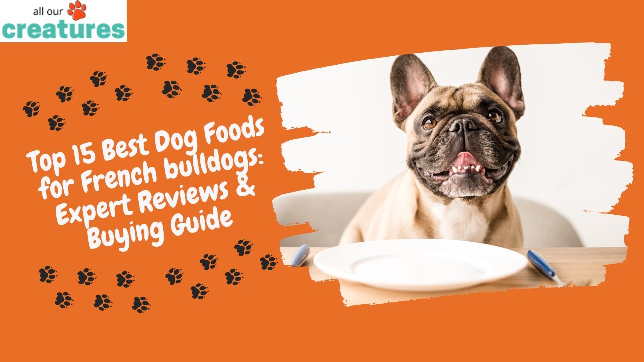 Video thumbnail for Top 15 Best Dog Foods for French bulldogs: Expert Reviews & Buying Guide
