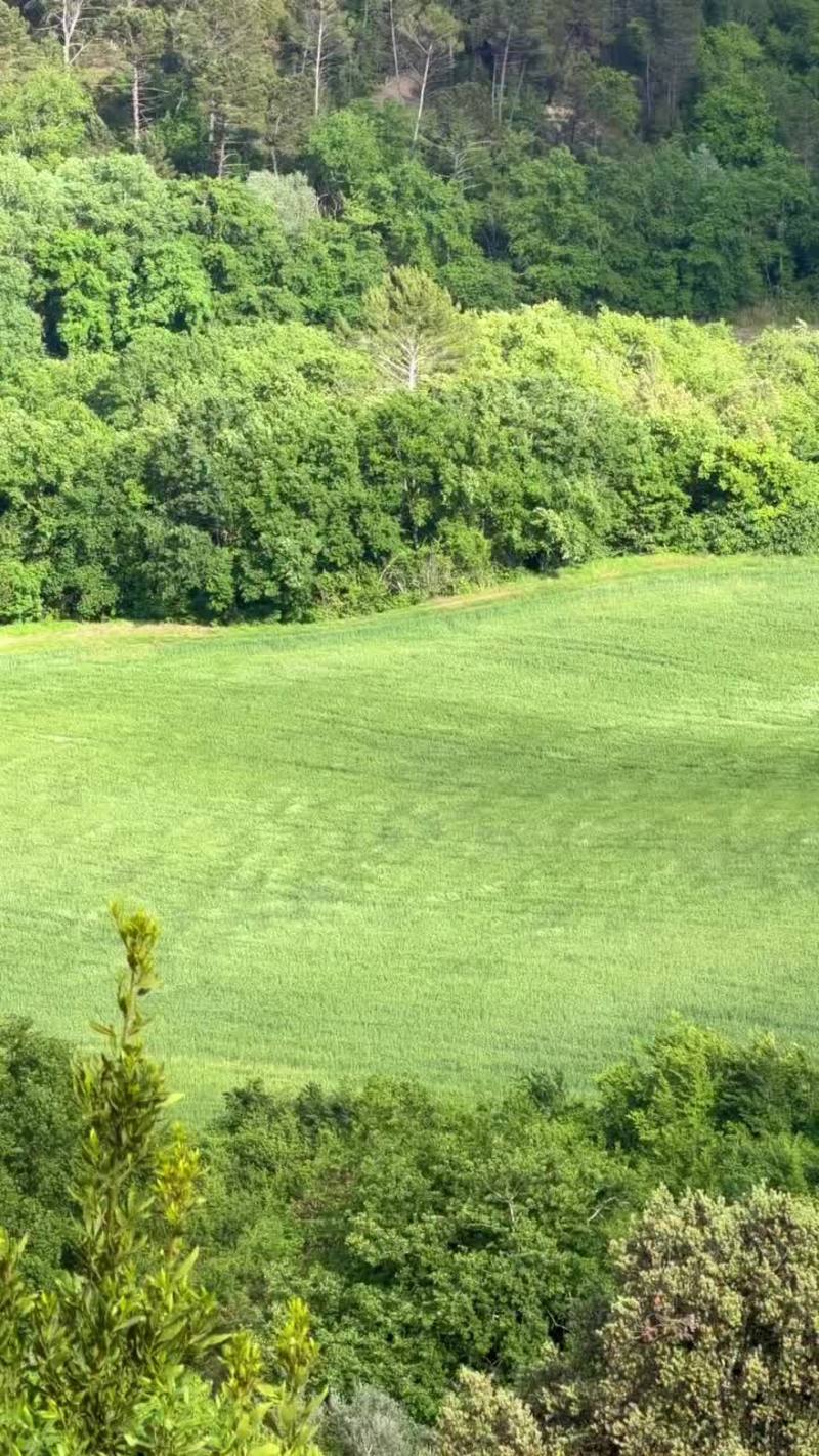 Video thumbnail for Wind Swept Green Fields in the Umbrian Countryside