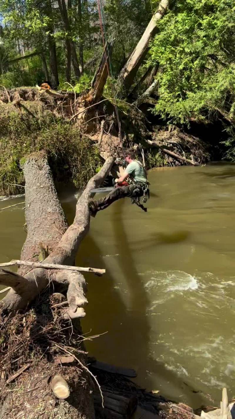 Video thumbnail for Extreme Tree Work over Raging River Rapids
