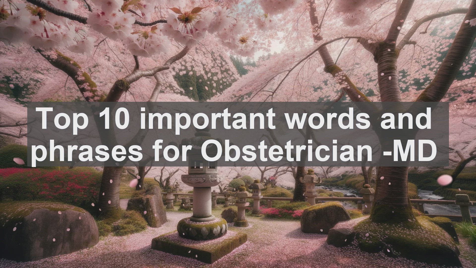 'Video thumbnail for Top 10 important words and phrases for Obstetrician MD'