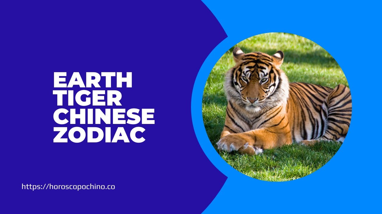 'Video thumbnail for Earth tiger chinese zodiac'