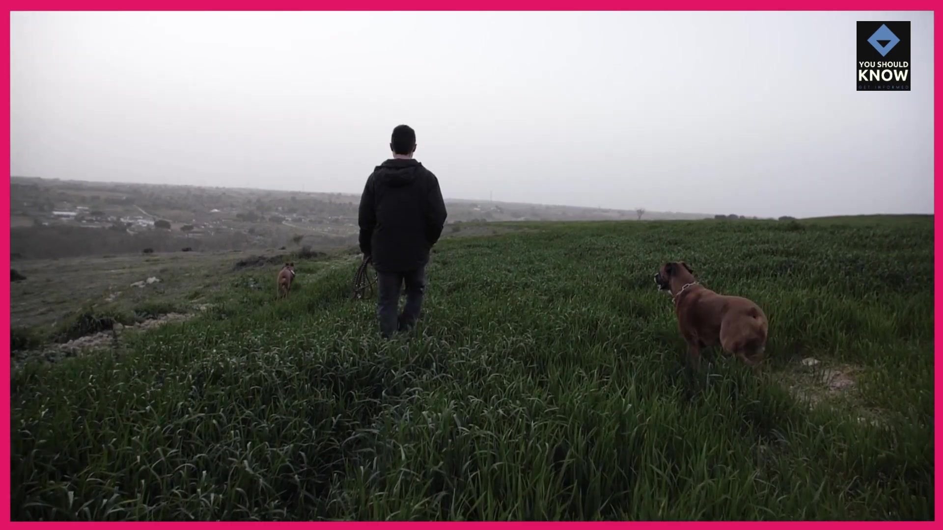 'Video thumbnail for Top 10 Habits to Become Emotionally Bulletproof'