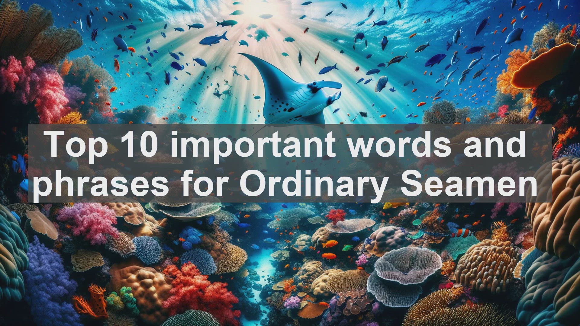 'Video thumbnail for Top 10 important words and phrases for Ordinary Seamen'