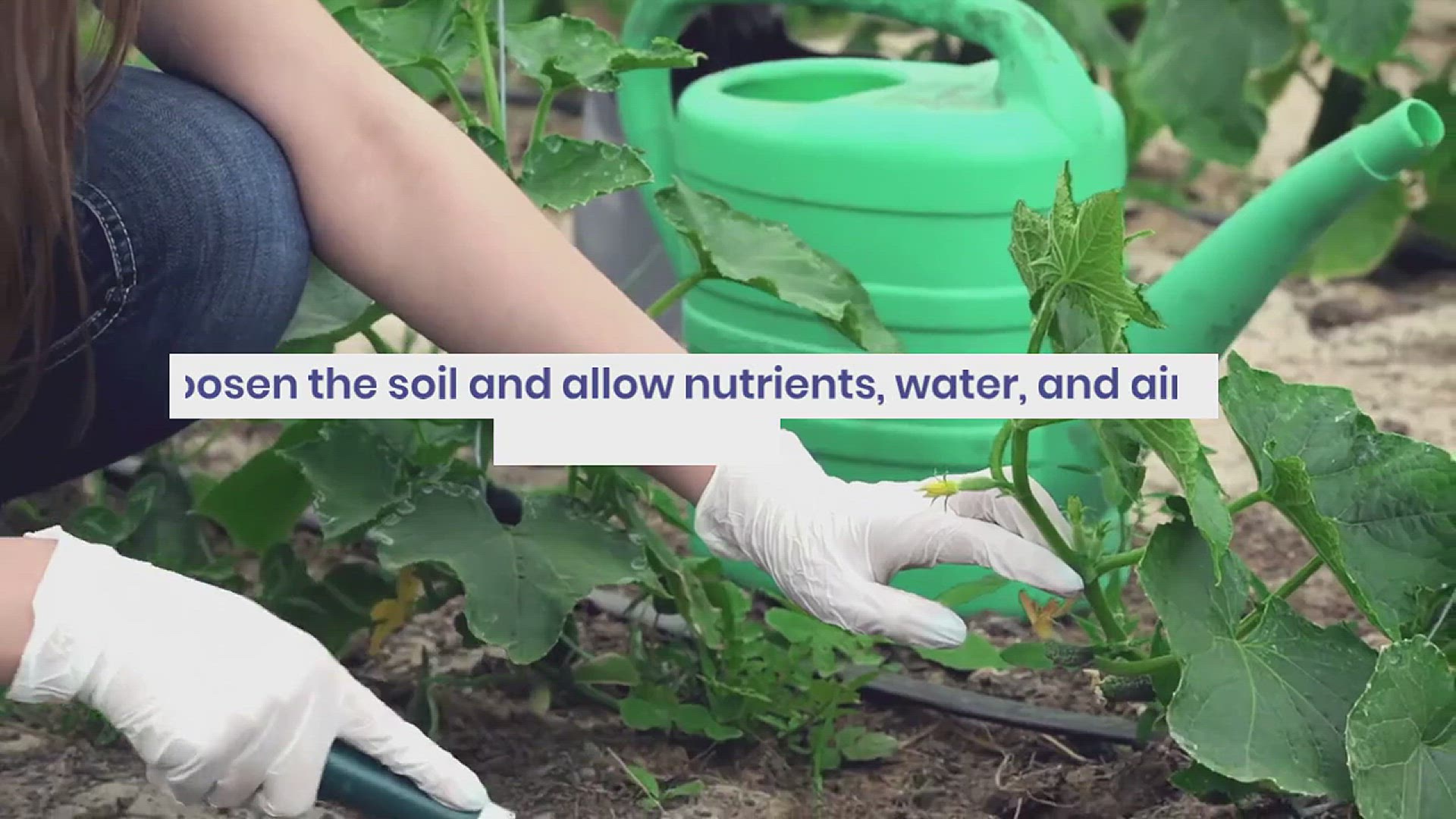 'Video thumbnail for How to Choose the Best Lawn Aerators'