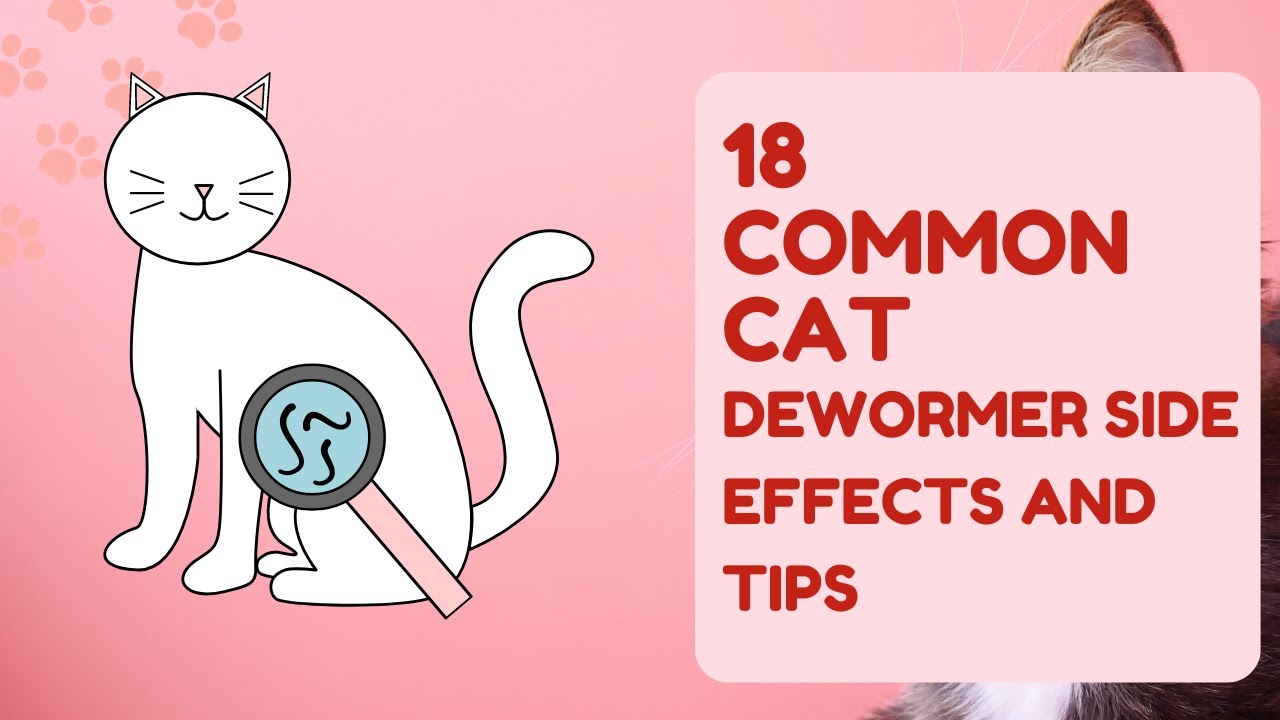 Video thumbnail for 18 Common Cat Dewormer Side Effects And Tips