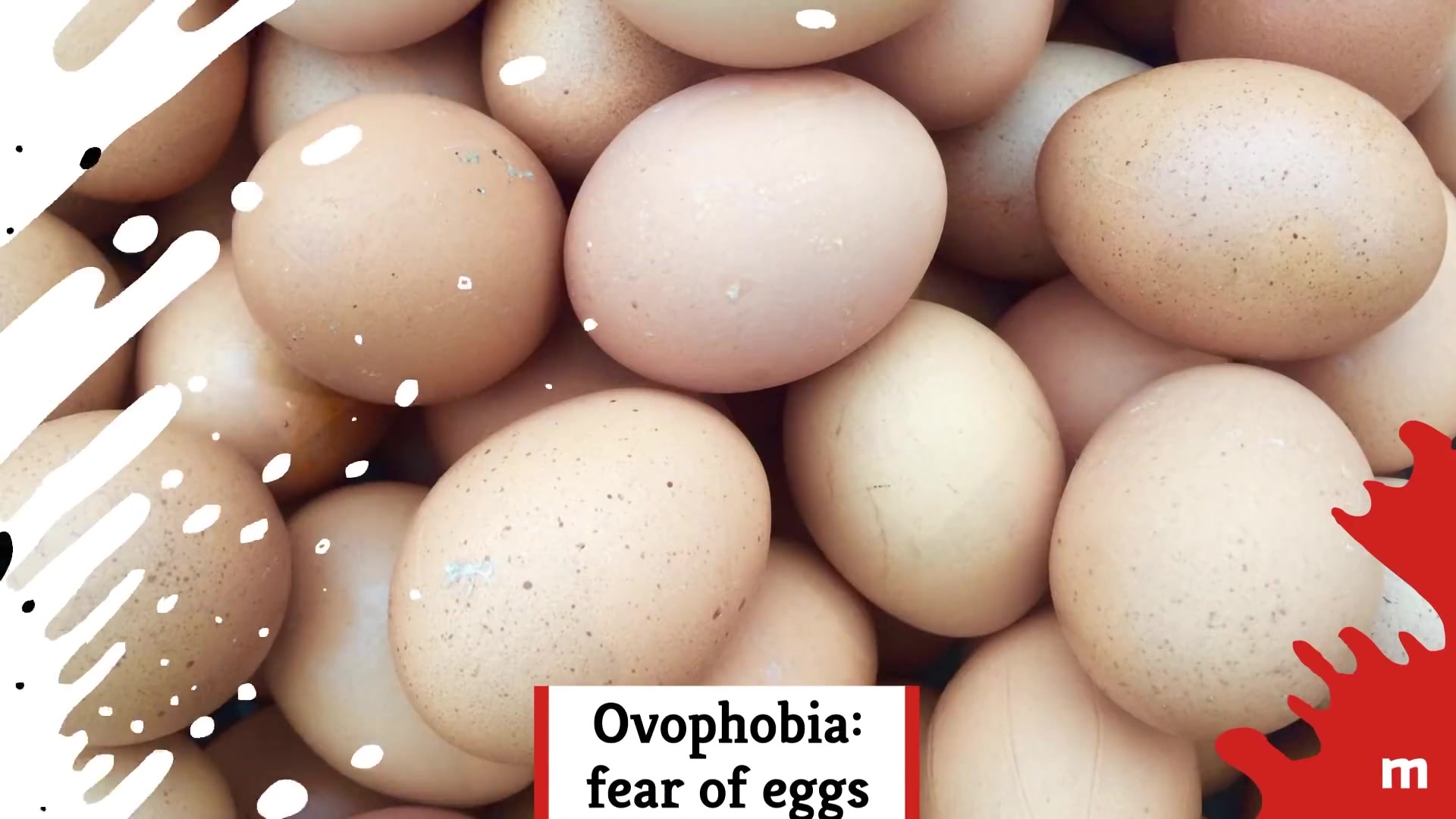 Video thumbnail for The Most Bizarre Food Phobias