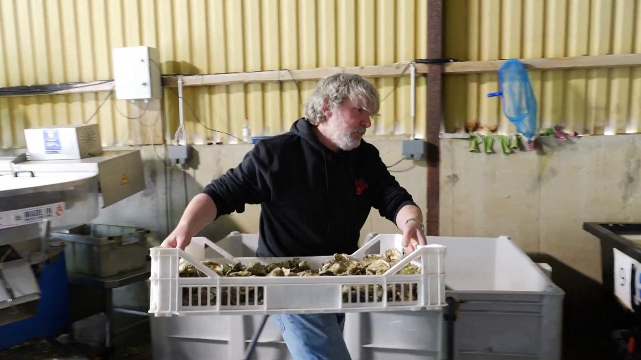 Video thumbnail for Ireland: Irish shellfish crack open Chinese market.