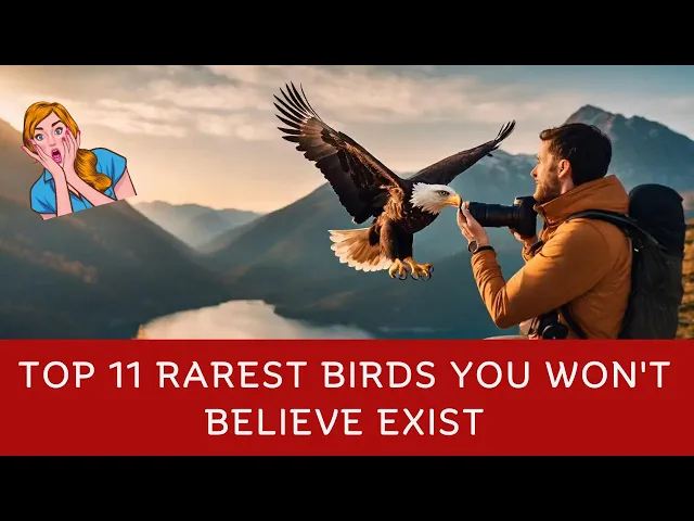 Video thumbnail for Top 11 Rarest Birds You Won't Believe Exist