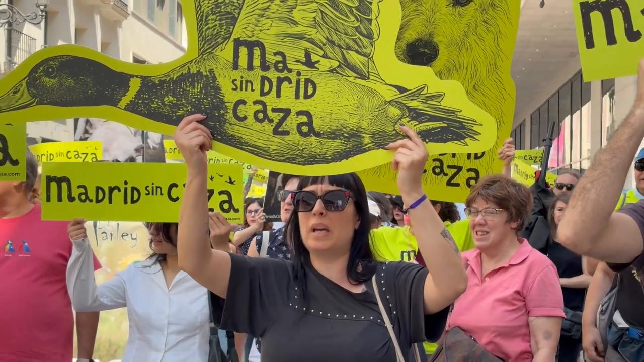 Video thumbnail for Spain: Anti-hunting protest in Madrid_.