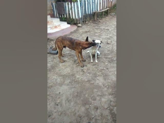 Video thumbnail for June 6, 2025