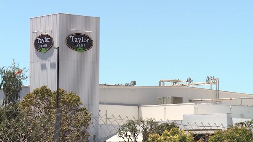 Video thumbnail for FDA says Taylor Farms lettuce tested for Cyclospora was a 'false positive,' none detected