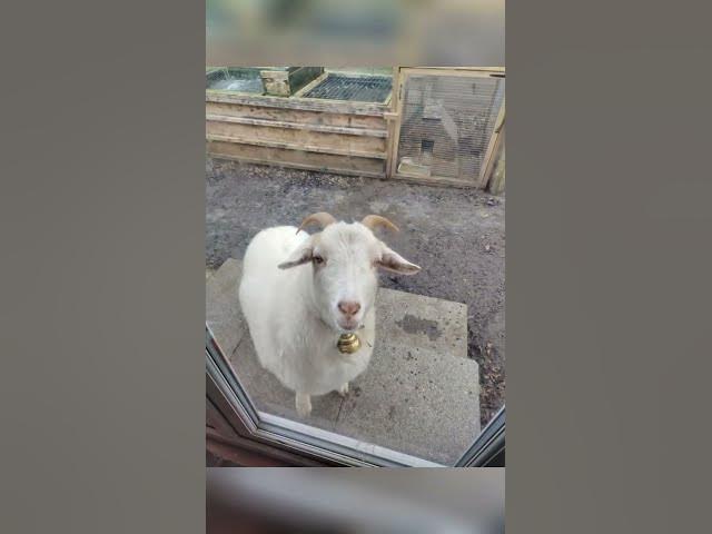 Video thumbnail for 23 July 2025