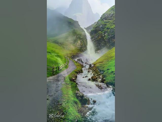 Video thumbnail for true true #duet #viralvideo #trending #motivation