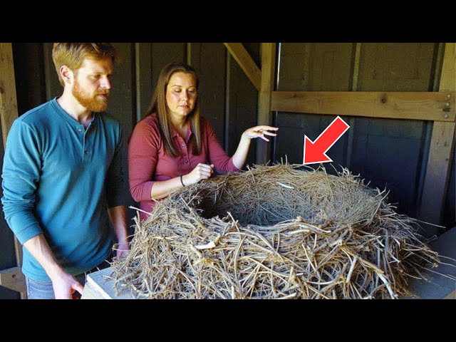 Video thumbnail for Couple Finds Massive Bird Nest In Shed, Then They Learn Who Built It