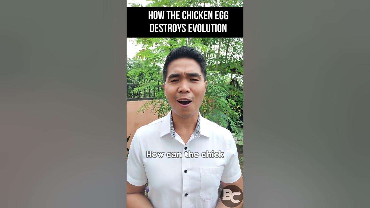 Video thumbnail for Chicken vs Evolution