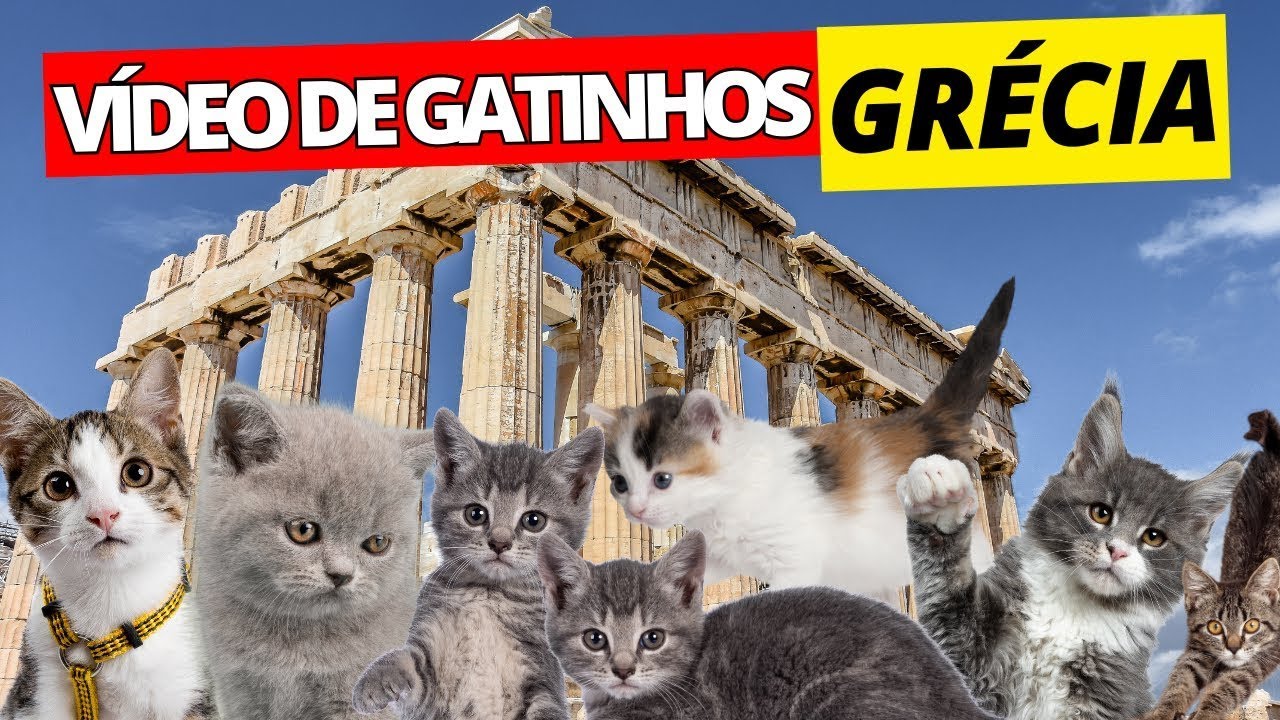 Video thumbnail for Atenas: O destino de viagem mais fofo com amigos peludos! #atenas #gatos