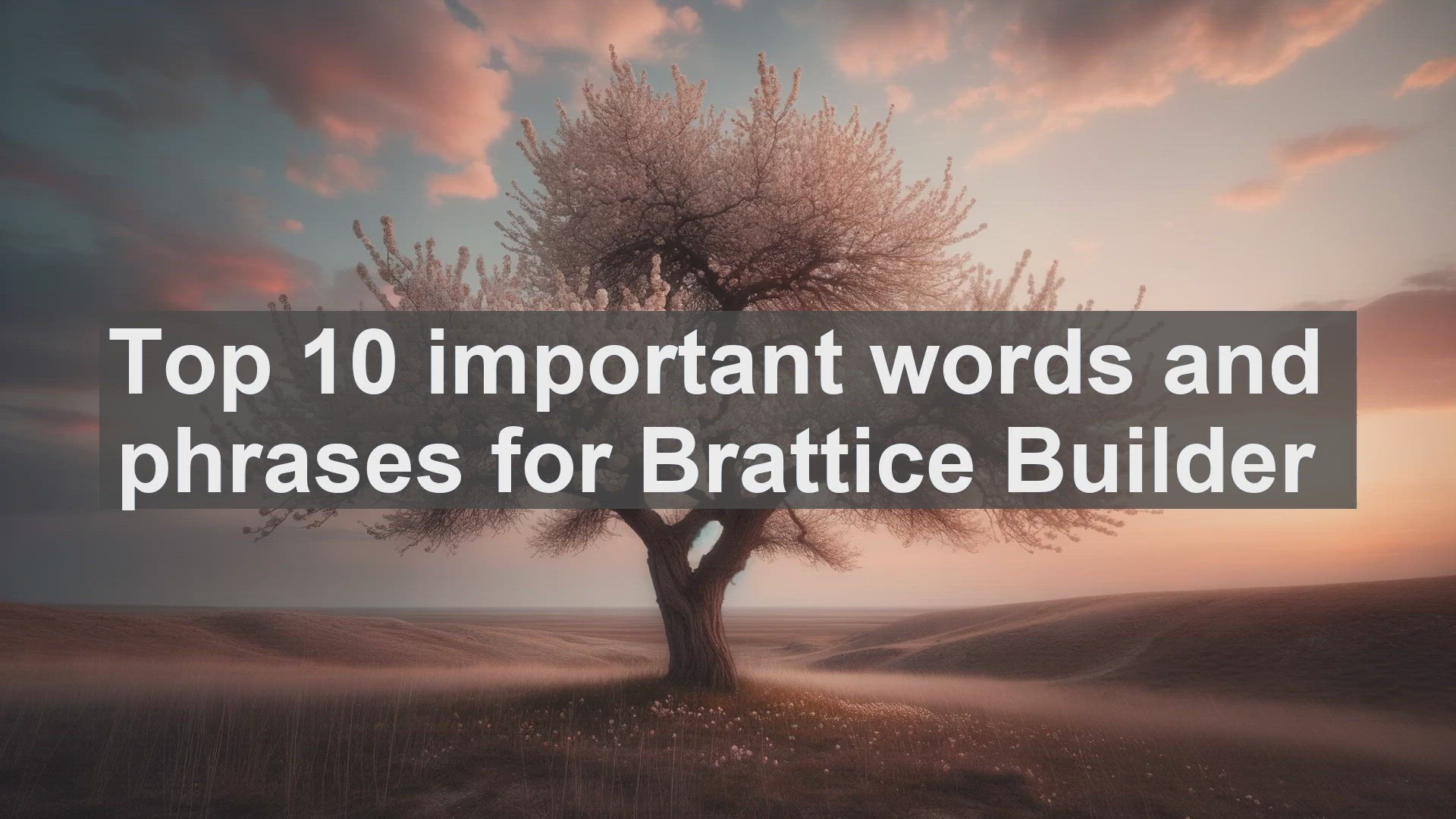 'Video thumbnail for Top 10 important words and phrases for Brattice Builder'