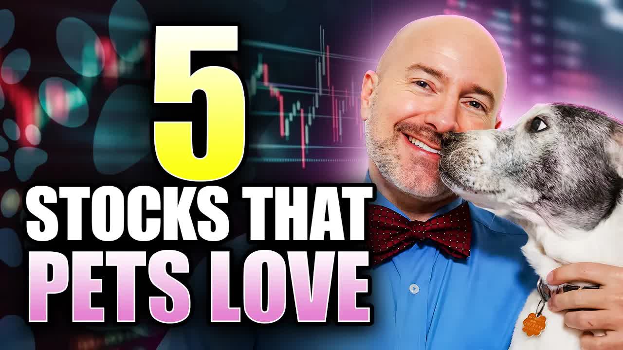 'Video thumbnail for joseph hogue: top 5 pet stocks to buy now! investing in chewy, freshpet & more.'
