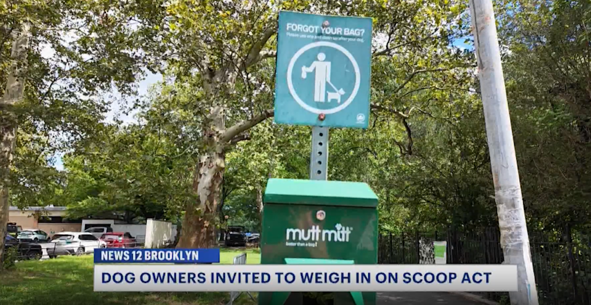 Video thumbnail for Brooklyn dog owners asked to weigh in on Scoop Act