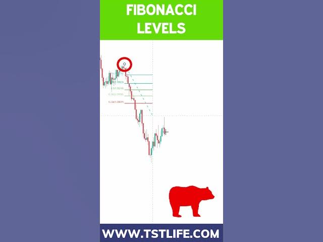 Video thumbnail for How To Draw Fibonacci Extensions (Simple Way) - Forex Trading Tips - #Shorts ๐