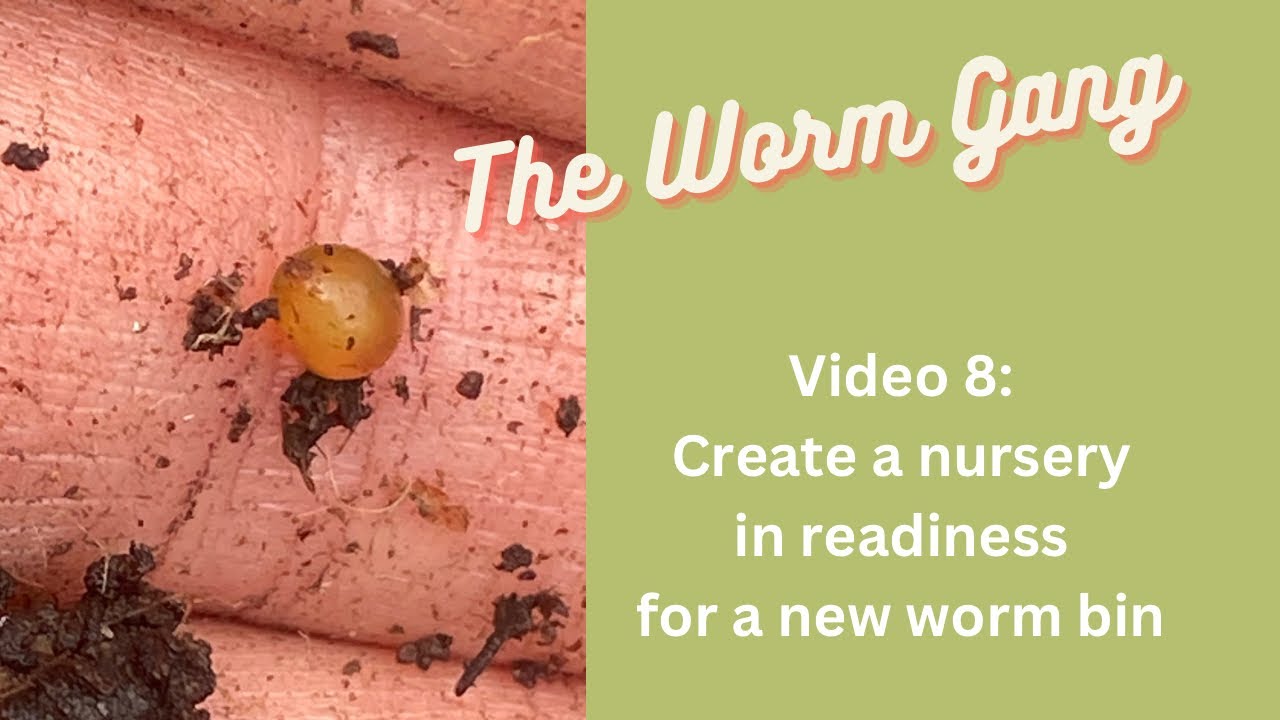 'Video thumbnail for Video 8: Create Your Own Worm Composting Nursery and Why I Started One'