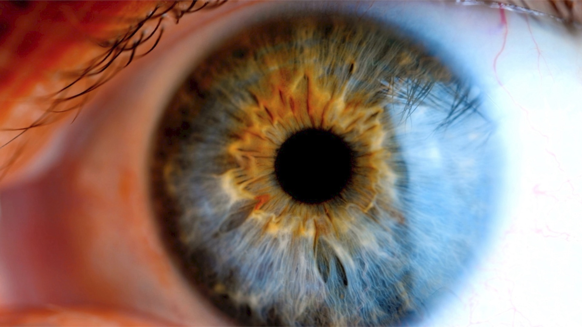 Video thumbnail for Could a new procedure cure blindness? Scientists hint it's possible