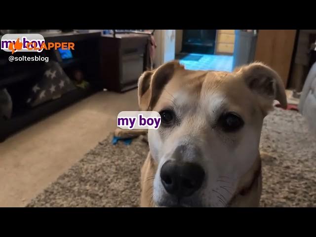 Video thumbnail for December 13, 2025