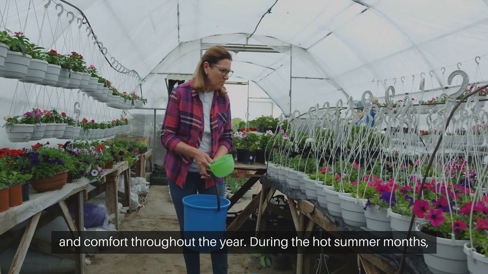 Video thumbnail for Seasonal Pet Care Tips