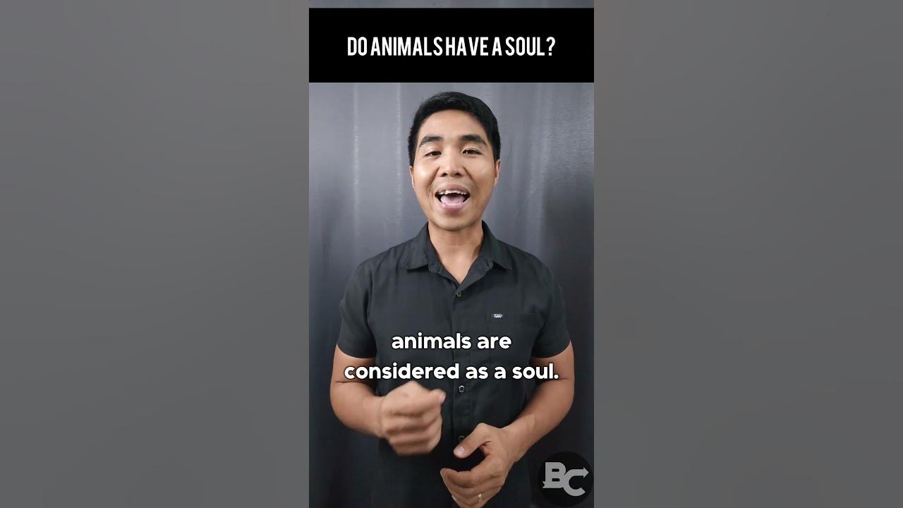 Video thumbnail for Do animals have a soul?