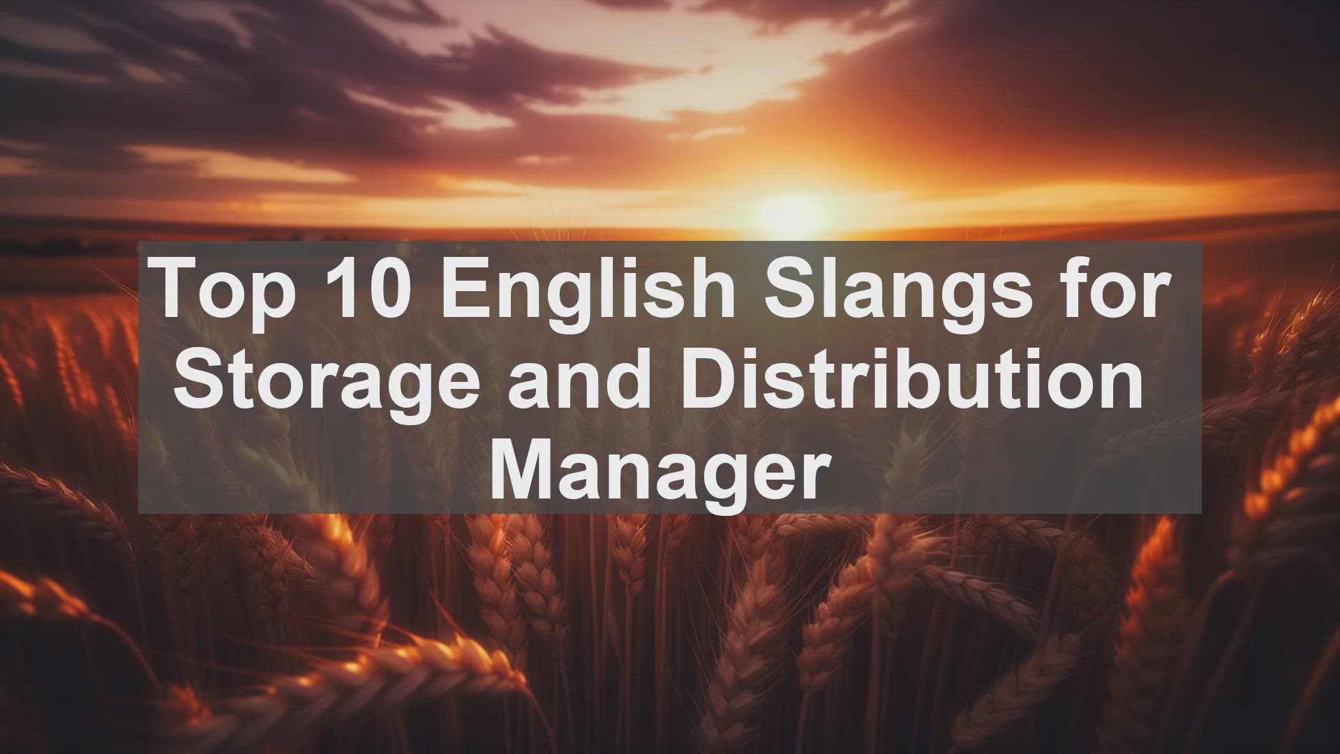 'Video thumbnail for Top 10 English Slangs for Storage and Distribution Manager'