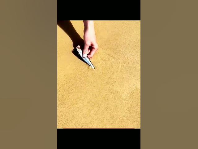 Video thumbnail for #quranrecitaion #fishing #fish #quranrecition #fisherman #qurantilawatbeautifulrecitation #quranmemo