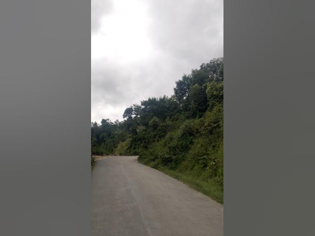 Video thumbnail for Road Site #youtubeshorts #travel #roadtrip #beautiful #roadsafety