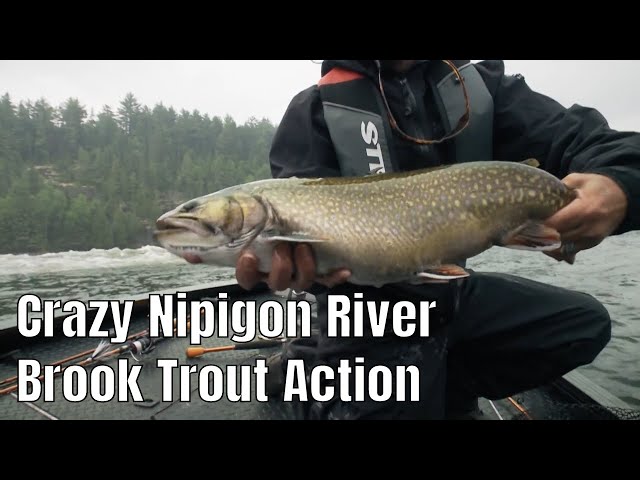 Video thumbnail for Crazy Brook Trout Action On The Nipigon River | Fish'n Canada