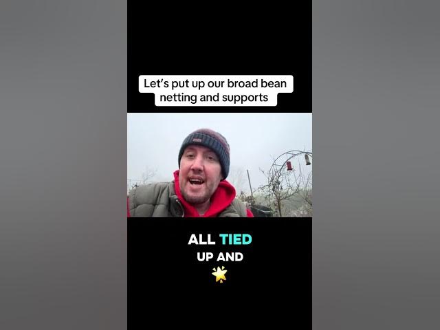 Video thumbnail for 🎥 ✅ 🌱 Putting Up Broad Bean Supports & Netting 🫘 | Winter Allotment Protection
