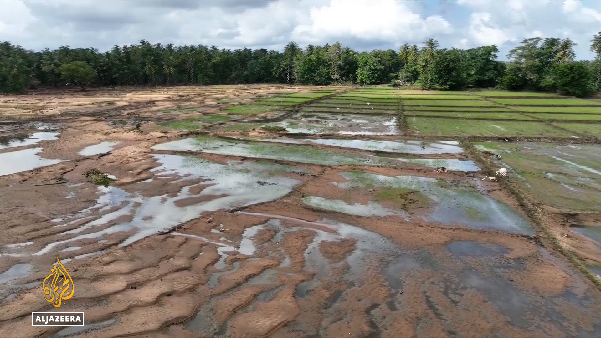 Video thumbnail for Sri Lanka flooding: 106,000 hectares of rice paddy fields damaged