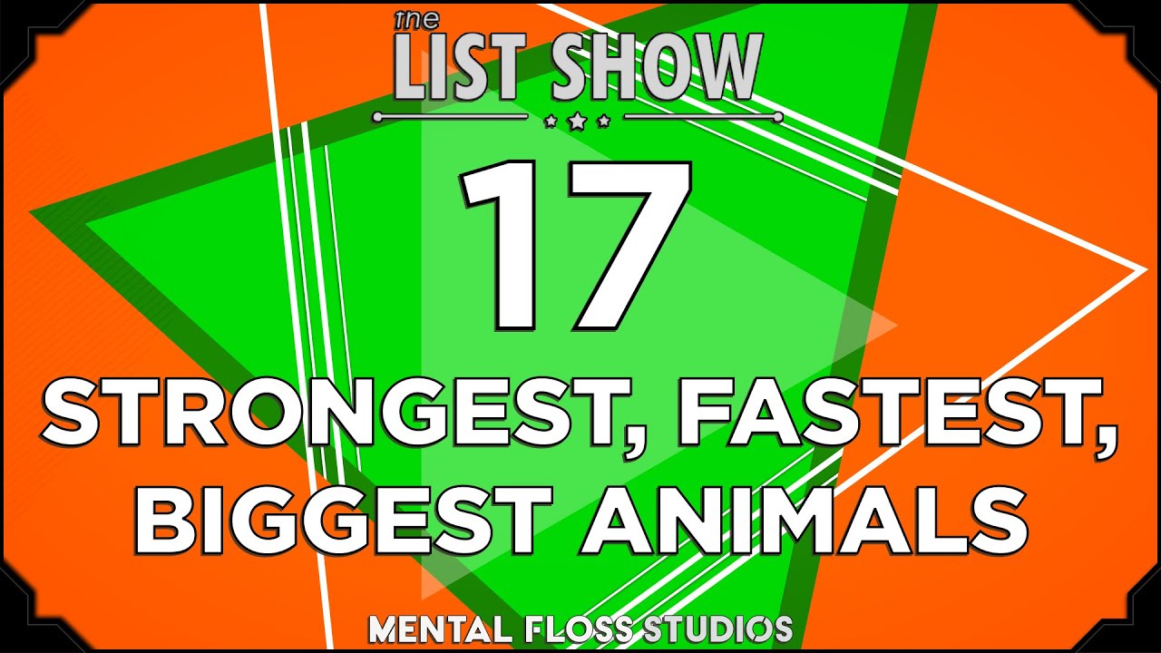 Video thumbnail for 17 Wild Animal Superlatives | Mental Floss