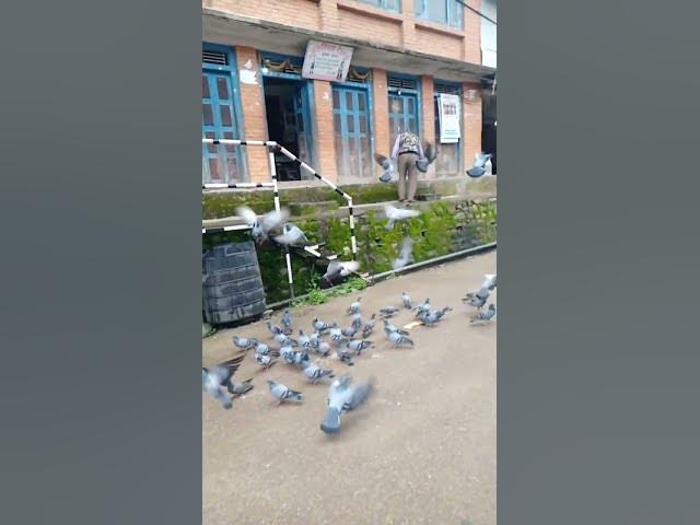 Video thumbnail for nepali view in morning vibes