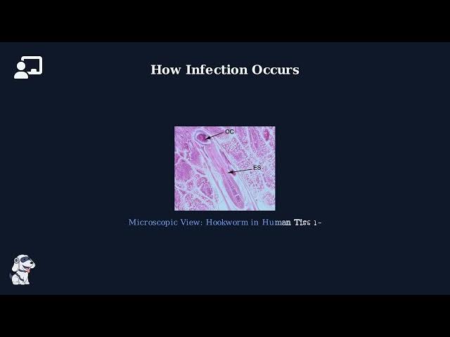 Video thumbnail for The Old World Hookworm